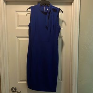 NWOT blue Calvin Klein sheath dress, size 10.